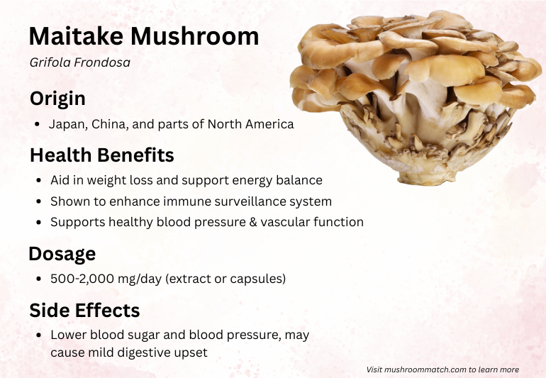 maitake mushrrom