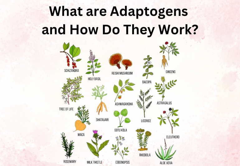 Adaptogens